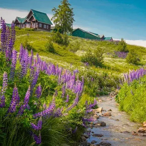 Kashmir 4-Day, 3-Night Getaway Package